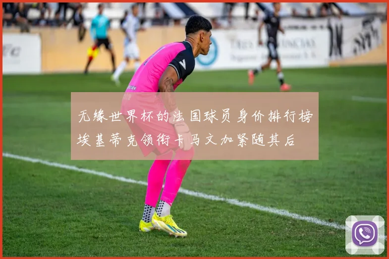 无缘世界杯的法国球员身价排行榜埃基蒂克领衔卡马文加紧随其后