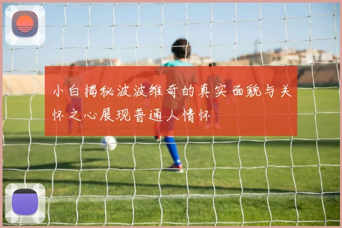 小白揭秘波波维奇的真实面貌与关怀之心展现普通人情怀